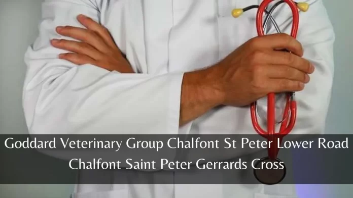 goddard veterinary group chalfont st peter lower road chalfont saint peter gerrards cross